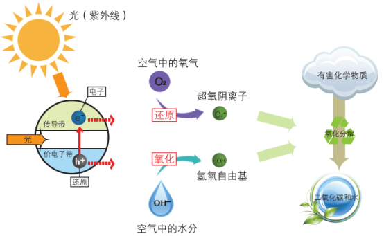 沒(méi)有紫外線光觸媒能不能除甲醛？