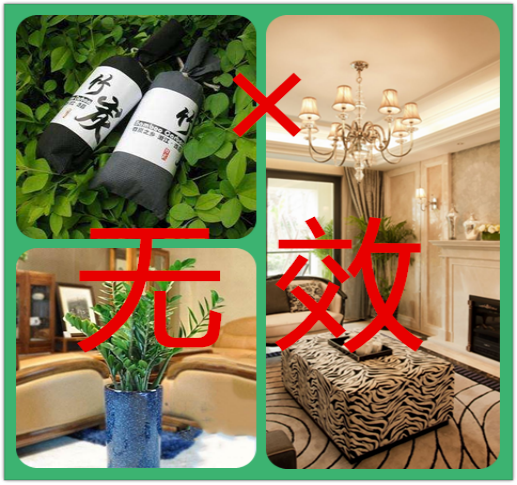 綠植真的能除甲醛嗎？植物除甲醛的真相