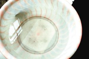 疫苗事件背后：您是否想過除甲醛產(chǎn)品也存在無效情況？