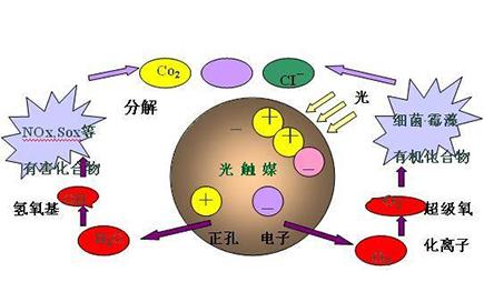 新房除甲醛，光觸媒是不是最有效的？