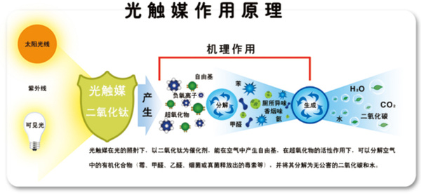 這些有效的除甲醛方法，你都知道嗎？
