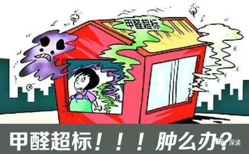 除甲醛加盟項(xiàng)目賺錢嗎？